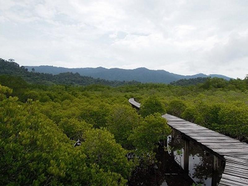 The Mangrove Hideaway Kohchang Koh Chang Ngoại thất bức ảnh